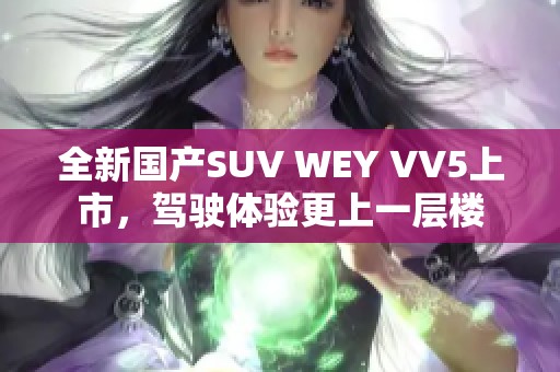 全新国产SUV WEY VV5上市，驾驶体验更上一层楼