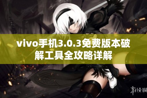 vivo手机3.0.3免费版本破解工具全攻略详解