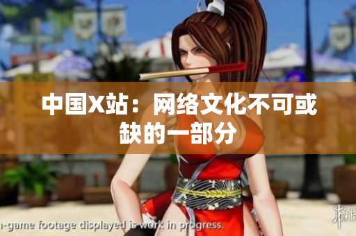 中国X站：网络文化不可或缺的一部分