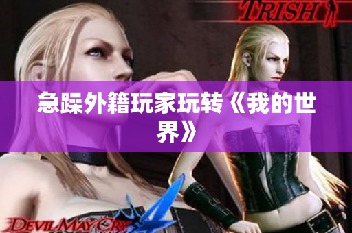 急躁外籍玩家玩转《我的世界》