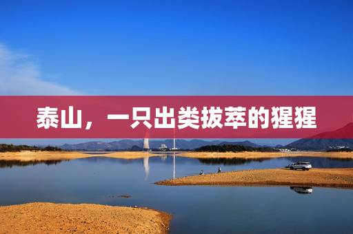 泰山，一只出类拔萃的猩猩