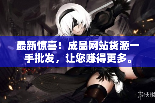 最新惊喜！成品网站货源一手批发，让您赚得更多。