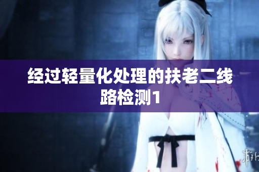 经过轻量化处理的扶老二线路检测1