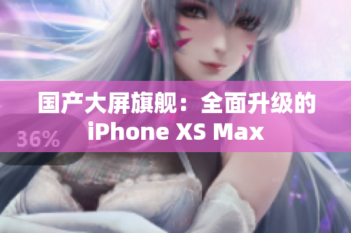 国产大屏旗舰：全面升级的iPhone XS Max