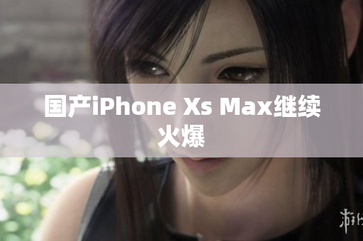 国产iPhone Xs Max继续火爆