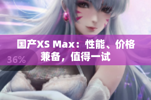 国产XS Max：性能、价格兼备，值得一试