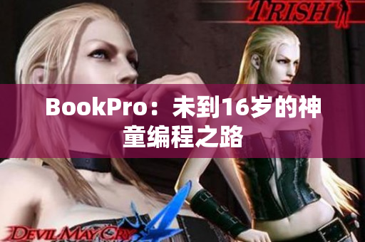 BookPro：未到16岁的神童编程之路