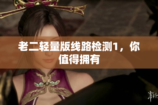 老二轻量版线路检测1，你值得拥有
