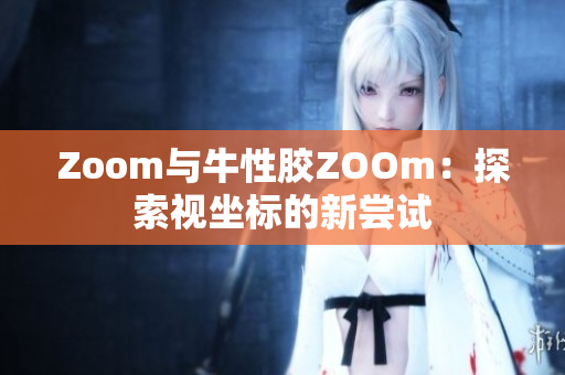 Zoom与牛性胶ZOOm：探索视坐标的新尝试
