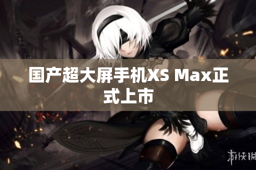 国产超大屏手机XS Max正式上市