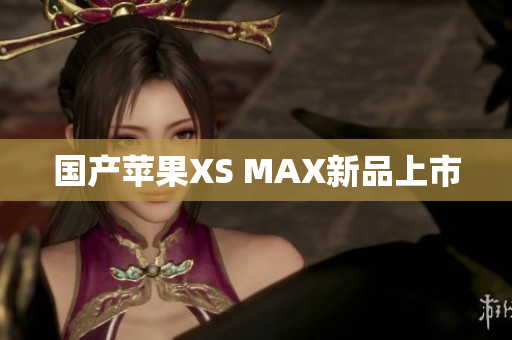 国产苹果XS MAX新品上市