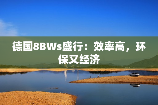 德国8BWs盛行：效率高，环保又经济