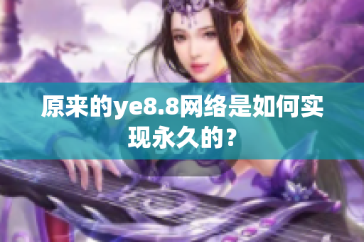 原来的ye8.8网络是如何实现永久的？