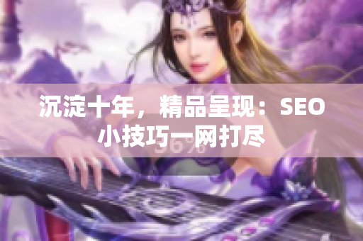 沉淀十年，精品呈现：SEO小技巧一网打尽