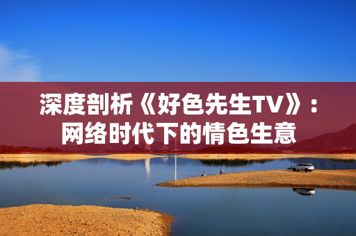 深度剖析《好色先生TV》：网络时代下的情色生意