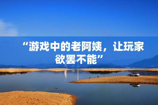 “游戏中的老阿姨，让玩家欲罢不能”