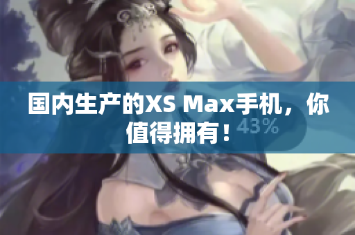 国内生产的XS Max手机，你值得拥有！