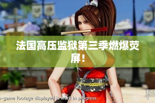法国高压监狱第三季燃爆荧屏！