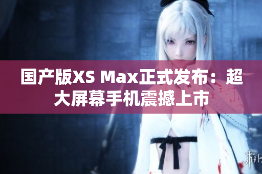 国产版XS Max正式发布：超大屏幕手机震撼上市