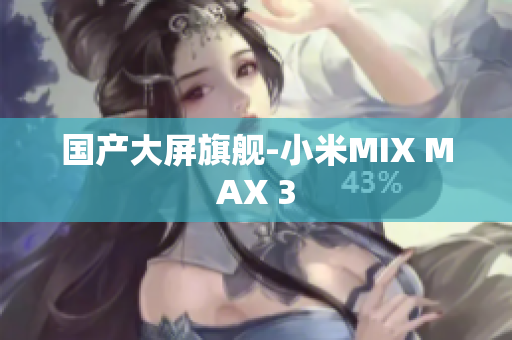 国产大屏旗舰-小米MIX MAX 3