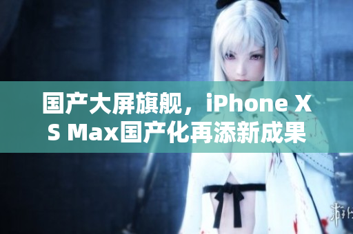 国产大屏旗舰，iPhone XS Max国产化再添新成果