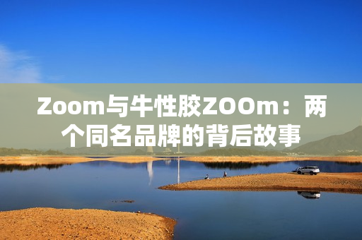 Zoom与牛性胶ZOOm：两个同名品牌的背后故事