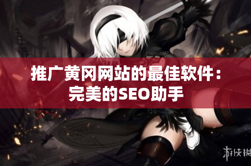 推广黄冈网站的最佳软件：完美的SEO助手