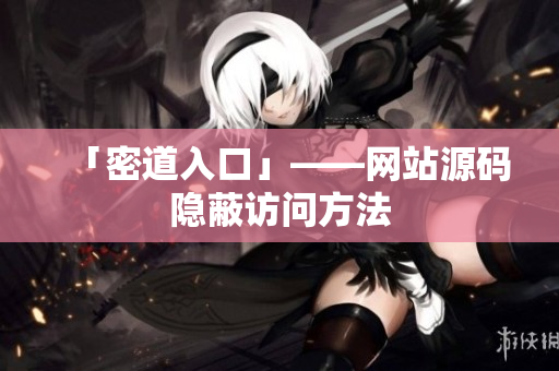 「密道入口」——网站源码隐蔽访问方法