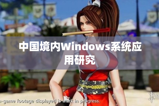 中国境内Windows系统应用研究