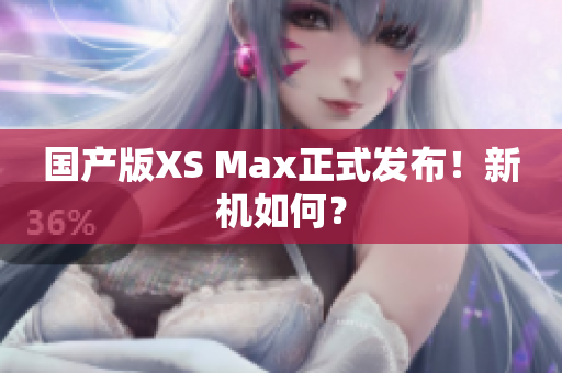 国产版XS Max正式发布！新机如何？