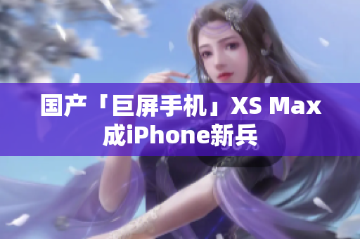 国产「巨屏手机」XS Max成iPhone新兵
