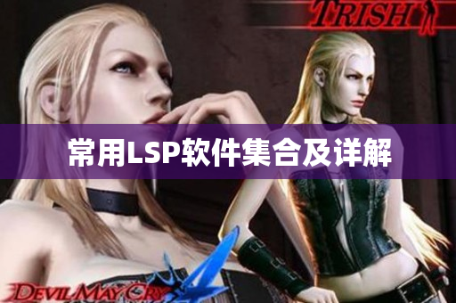 常用LSP软件集合及详解