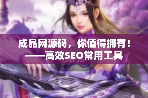 成品网源码，你值得拥有！——高效SEO常用工具