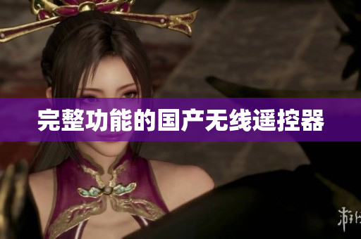 完整功能的国产无线遥控器