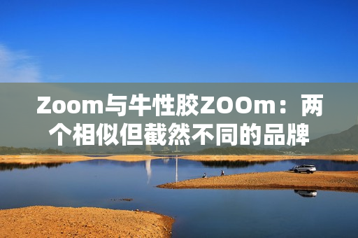 Zoom与牛性胶ZOOm：两个相似但截然不同的品牌