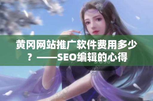 黄冈网站推广软件费用多少？——SEO编辑的心得