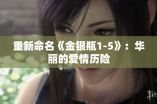 重新命名《金银瓶1-5》：华丽的爱情历险