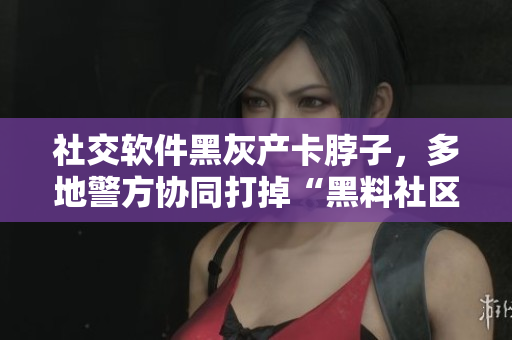 社交软件黑灰产卡脖子，多地警方协同打掉“黑料社区”