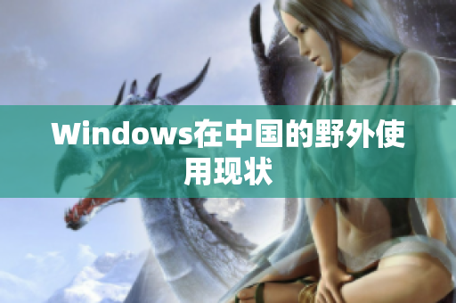 Windows在中国的野外使用现状