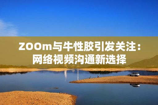 ZOOm与牛性胶引发关注：网络视频沟通新选择