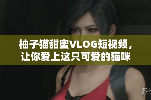 柚子猫甜蜜VLOG短视频，让你爱上这只可爱的猫咪