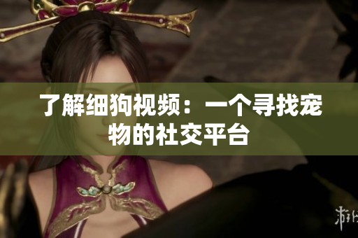 了解细狗视频：一个寻找宠物的社交平台