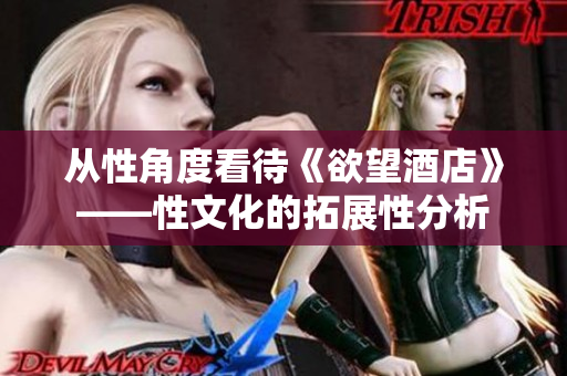 从性角度看待《欲望酒店》——性文化的拓展性分析