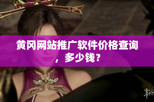 黄冈网站推广软件价格查询，多少钱？