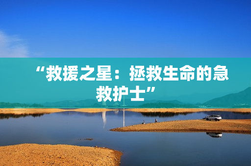 “救援之星：拯救生命的急救护士”