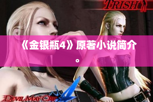 《金银瓶4》原著小说简介。