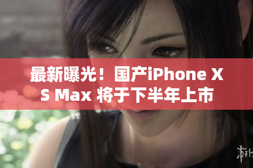 最新曝光！国产iPhone XS Max 将于下半年上市