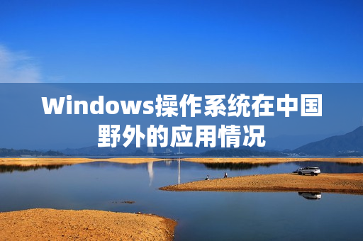 Windows操作系统在中国野外的应用情况