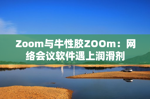 Zoom与牛性胶ZOOm：网络会议软件遇上润滑剂